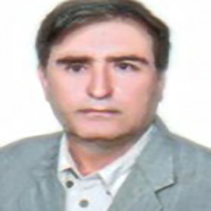 محمدجواد هاشم زاده