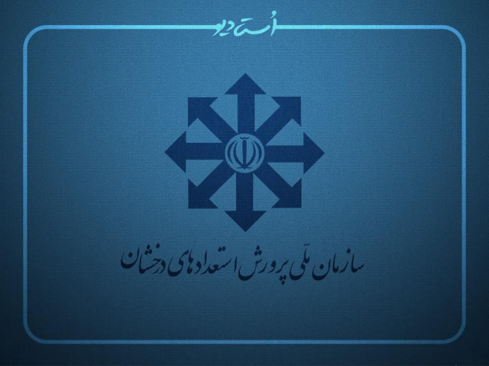 استعداد درخشان